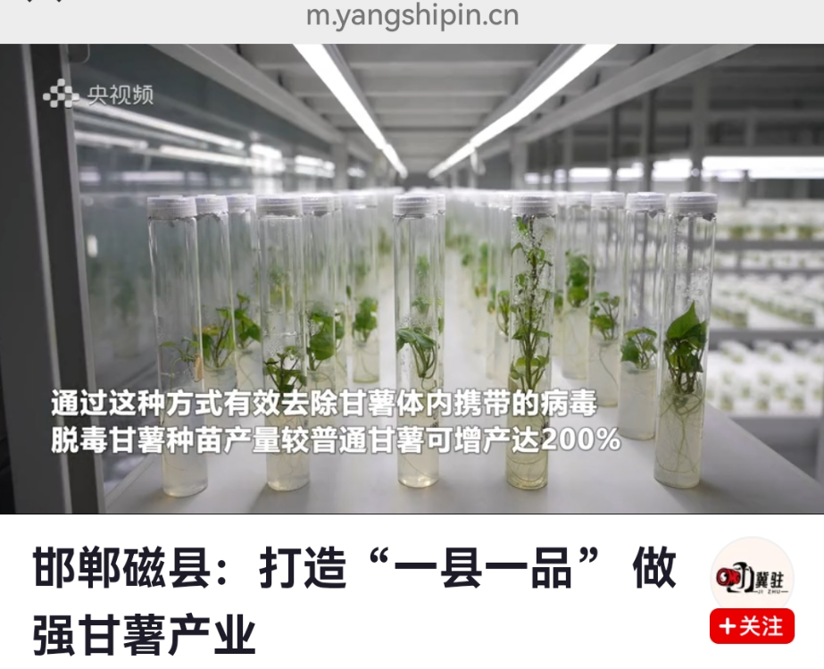 QQ瀏覽器截圖20250322110311.png