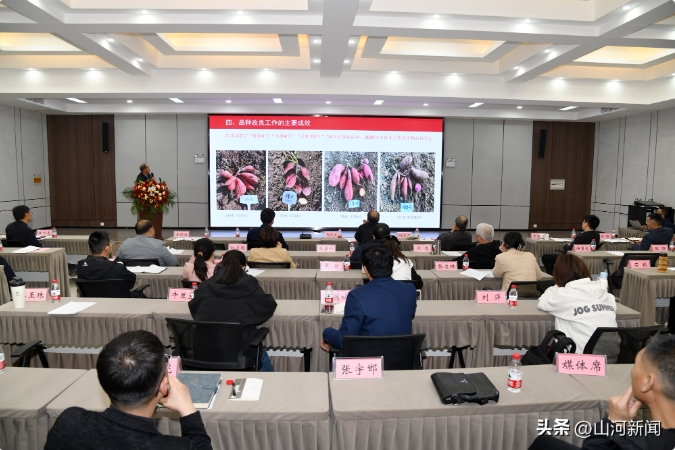 微信截圖_20250414102525.png
